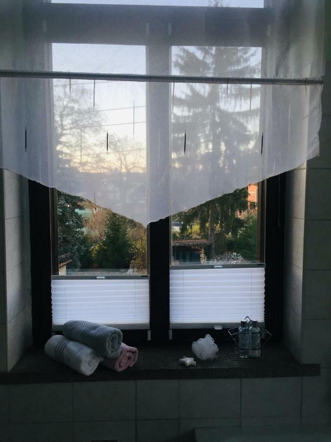 Turmvilla Vogtland Oelsnitz  Εξωτερικό φωτογραφία