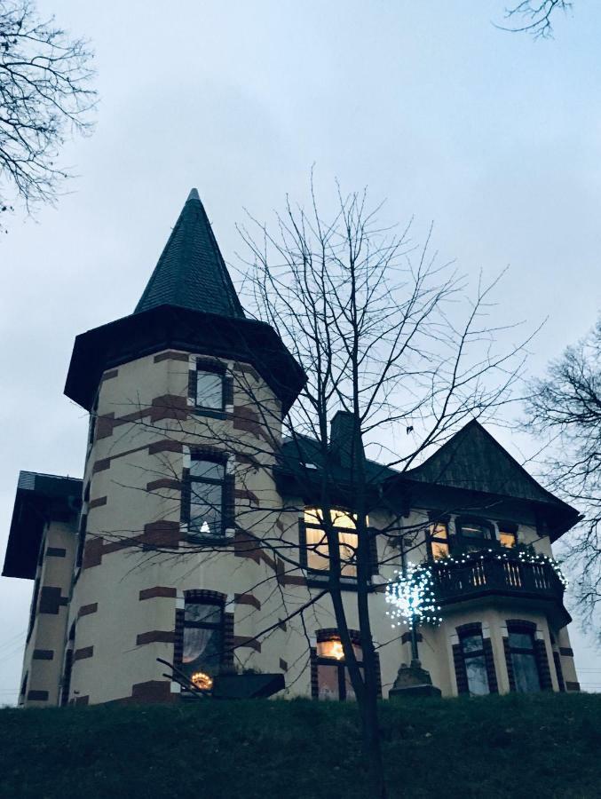 Turmvilla Vogtland Oelsnitz  Εξωτερικό φωτογραφία